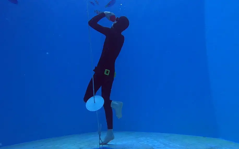 Freediving: základní kurz i kompletní výcvik