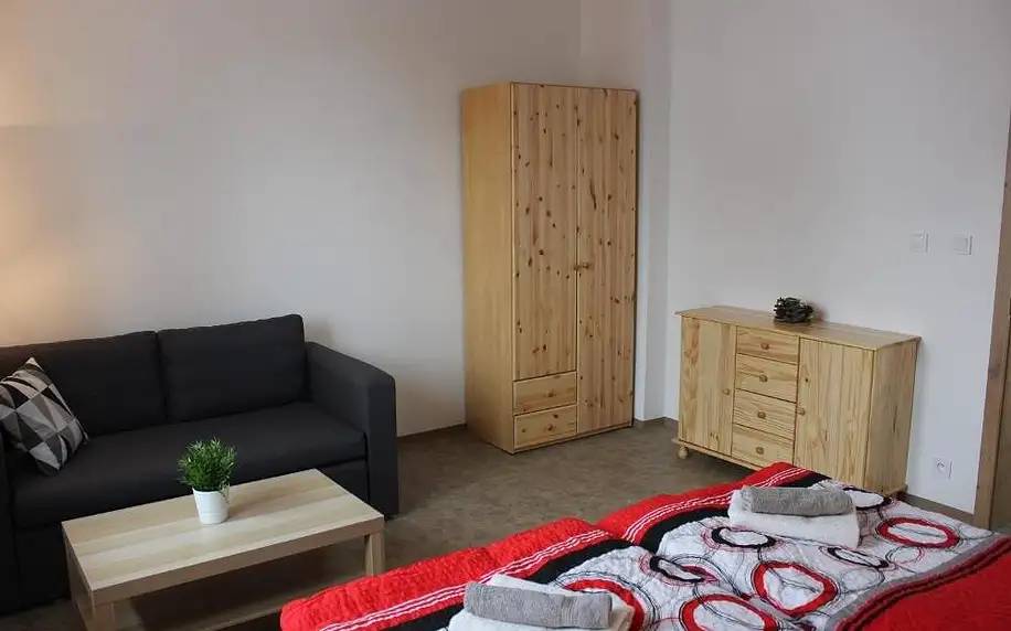 Františkovy Lázně, Karlovarský kraj: Apartment Dream