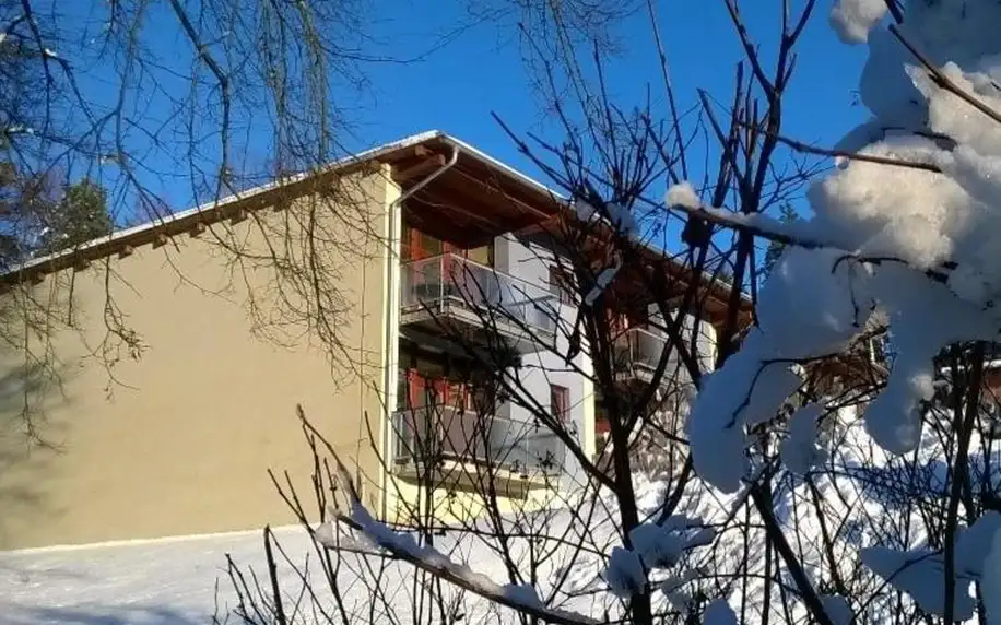 Lipno nad Vltavou, Jihočeský kraj: Apartment Doky D8 - Lipno Home