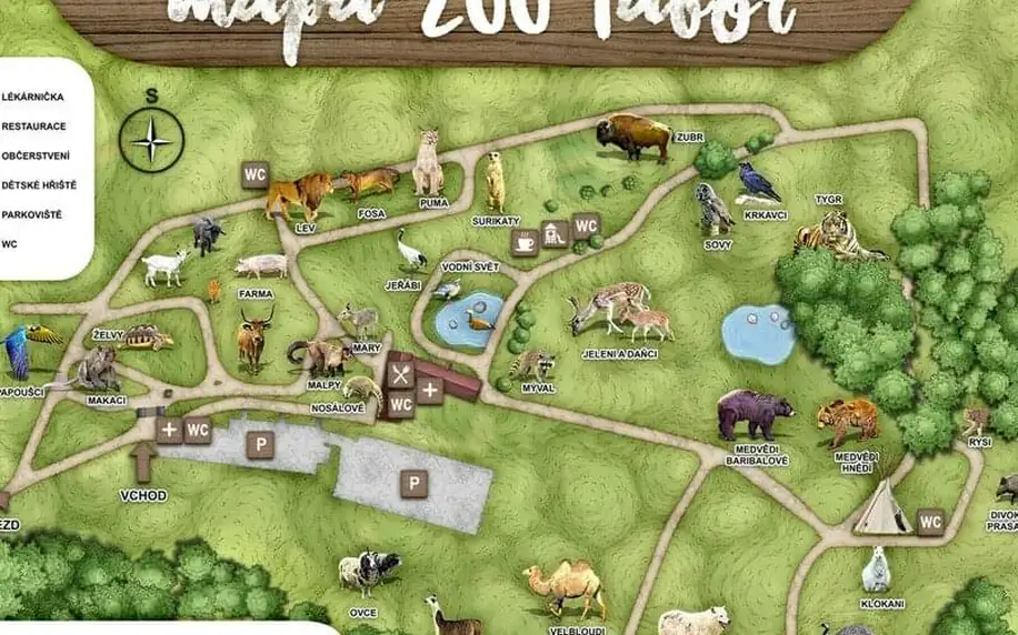 Zážitková noc v zoo Tábor- soukromé safari až pro 8 osob