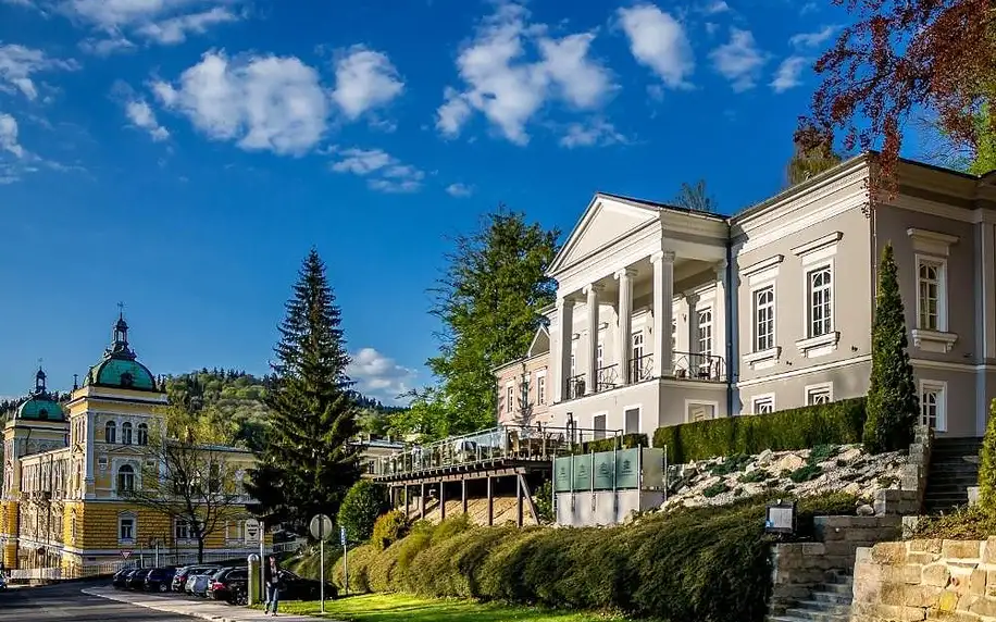 Karlovarský kraj: Gourmet Hotel Villa Patriot