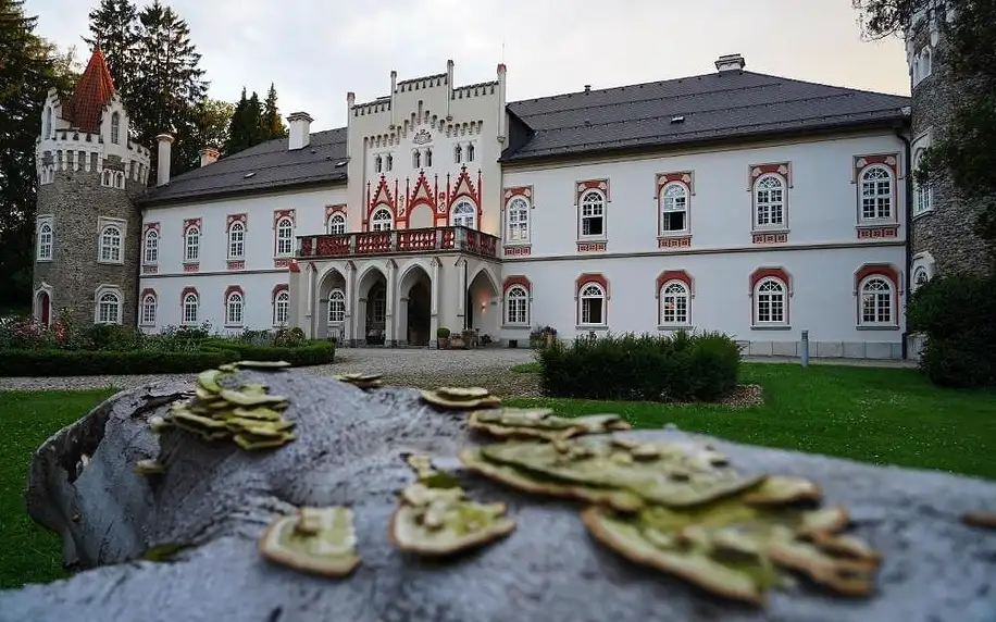 Luxus na jednom z nejkrásnějších romantických zámků v Čechách