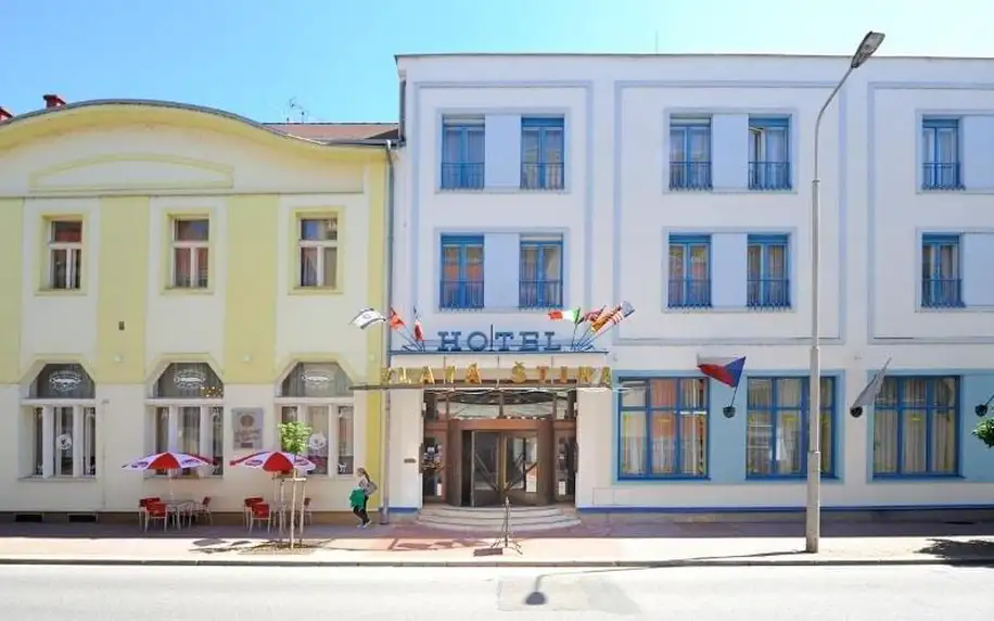Pardubice, Pardubický kraj: Hotel Zlatá Štika