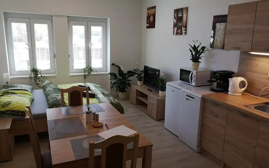 České středohoří: Apartmány Děčín