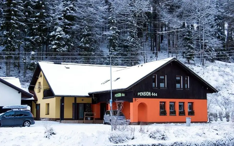 Krkonoše: Pension 444 - Ski Resort Herlikovice and Bubakov