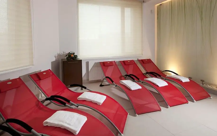 Odpočinkový pobyt v krásné Olomouci v moderním 4* hotelu + polopenze 4 dny / 3 noci, 2 osoby, polopenze