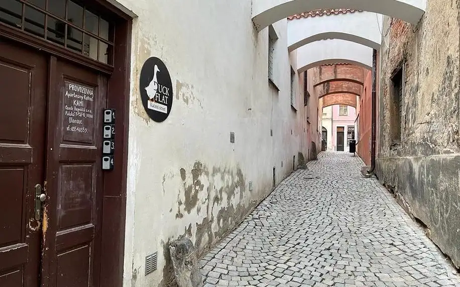 Olomouc, Olomoucký kraj: Byt v Kačení ulici