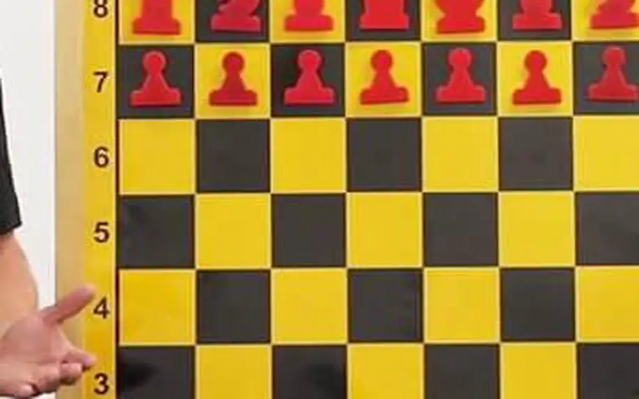 Šachový kurz pro začátečníky - videolekce