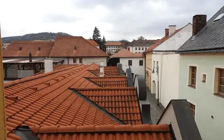 Sušice, Plzeňský kraj: Apartmán McVitek