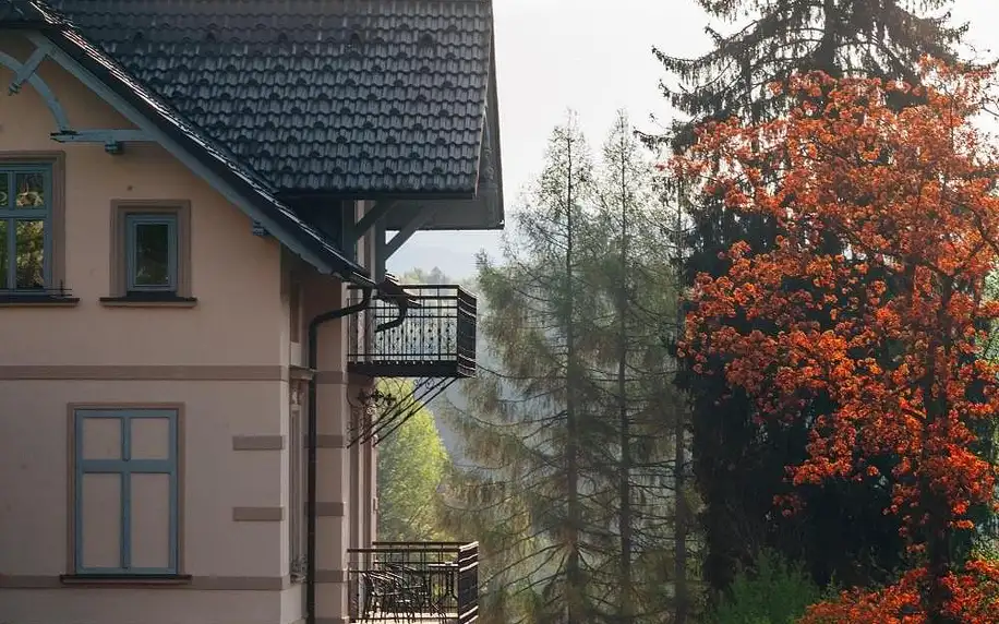 Hotel Vyhlídka poblíž Stezky korunami stromů Krkonoše