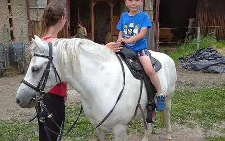 Jízda na koni pro dospělé či na poníkovi pro děti
