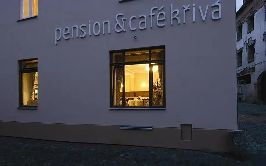 Olomouc, Olomoucký kraj: Pension Křivá