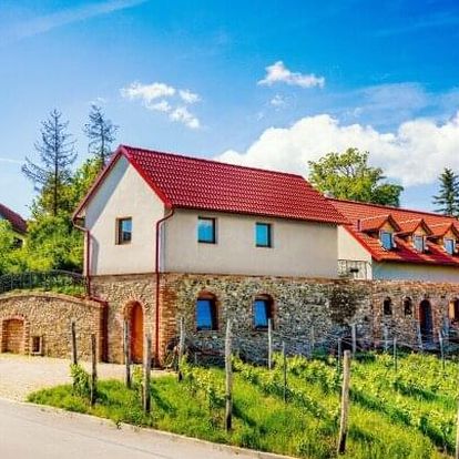 Vinařský pobyt na jižní Moravě u Znojma ve Vinařství Lintner s řízenou degustací, občerstvením a snídaněmi