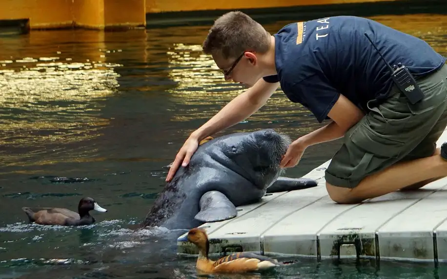 Výlet do Vratislavi: zoo, Afrikárium i centrum města