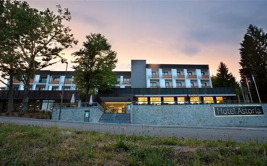 Hotel Astoria (Bled), Jezero Bled