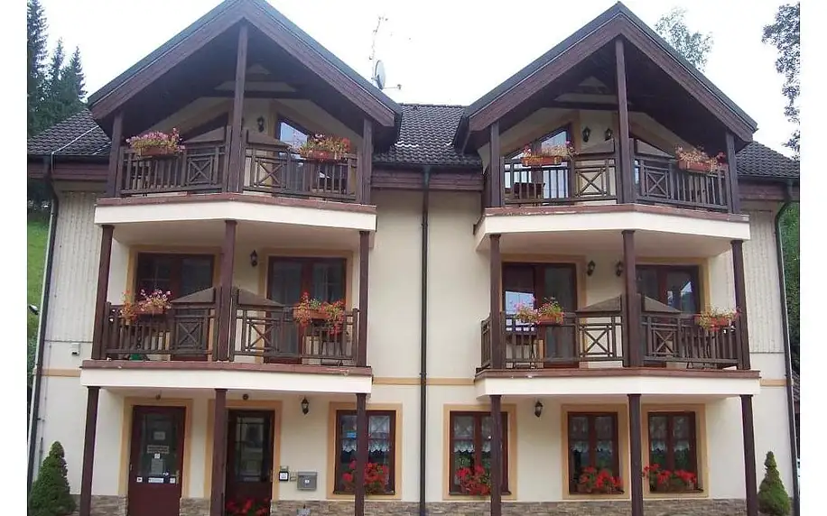 Krkonoše: Pension Holiday