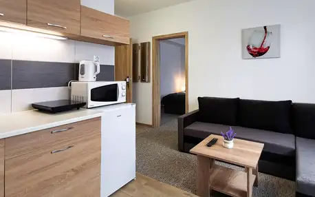 Moderní apartmány pod Tatrami, lahev vína a slevy