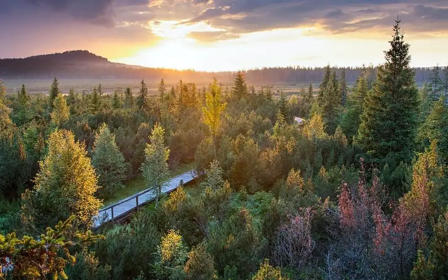 Krásná Šumava s neomezeným vstupem do wellness & polopenze + 2 děti zdarma 4 dny / 3 noci, 2 osoby, polopenze