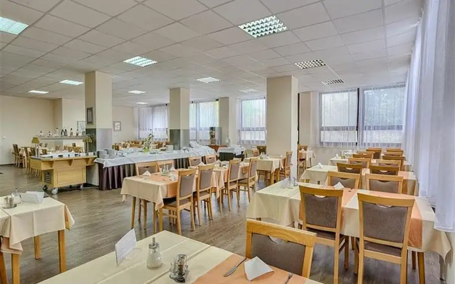 Smrdáky - Vietoris Central Ensana Health Spa Hotel, Slovensko