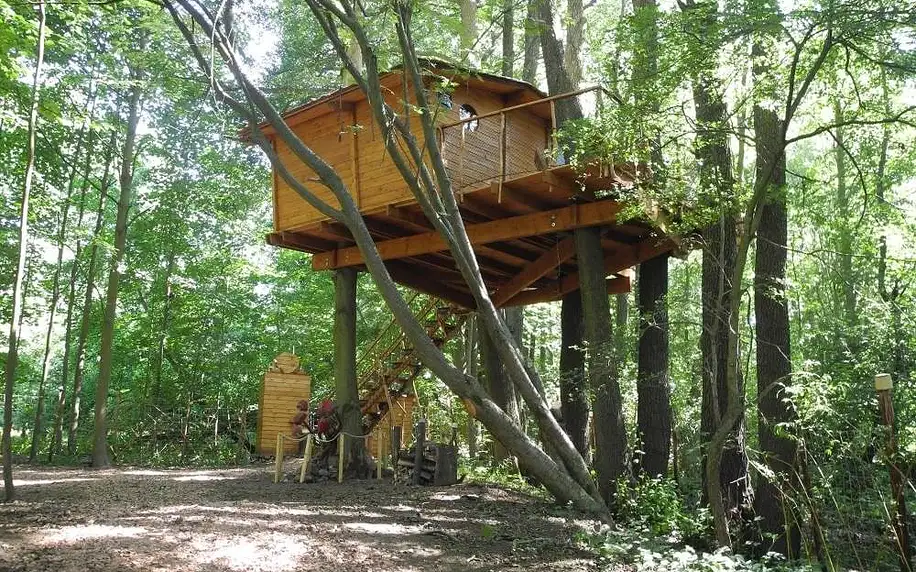 Kouzelné ubytování na stromě v Brdech