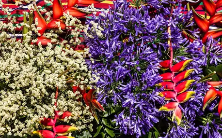 Květinové slavnosti na Madeiře, MADEIRA
