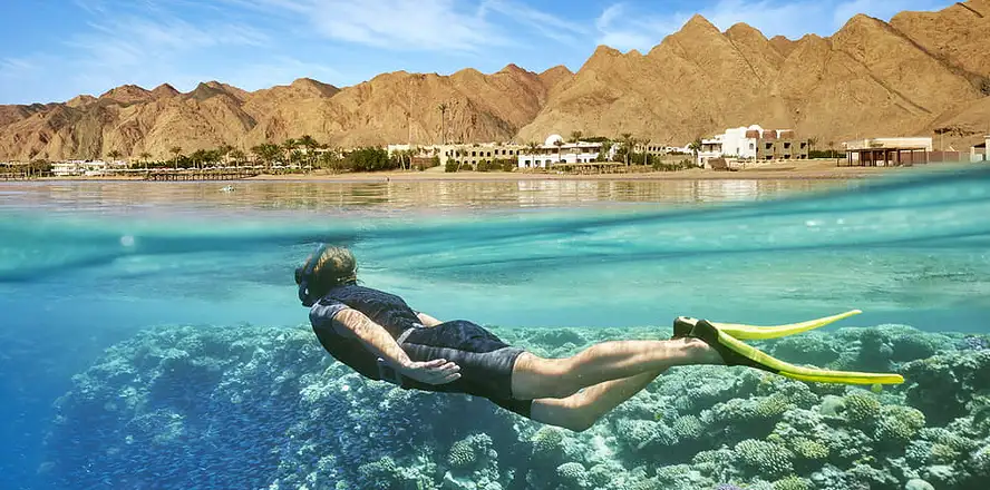 Potápěčka v Egyptě