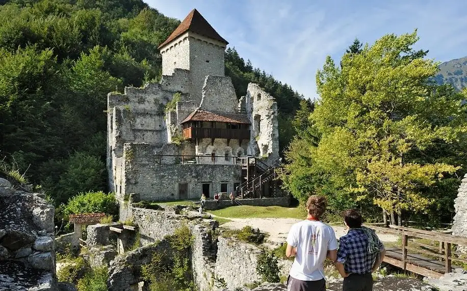 Slovinsko - Jezero Bled: Hotel Krek Superior