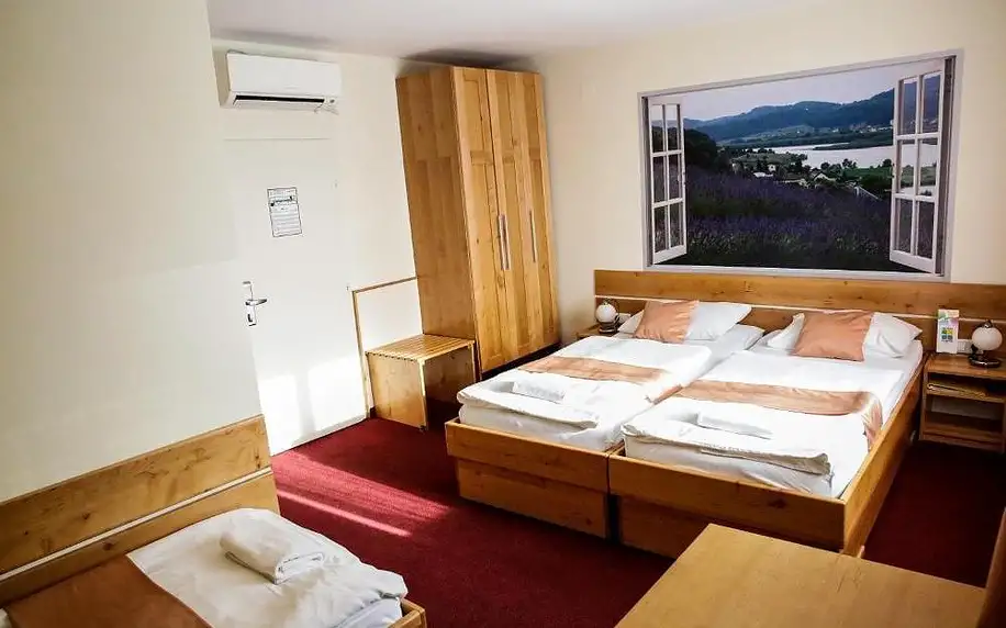Slovinsko: Hotel Tabor Maribor