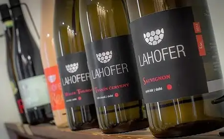 Degustace osmi vzorků vín ve velkém sklepě Hotelu Lahofer