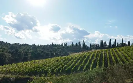 Itálie - Toskánsko: Wine Resort Dievole