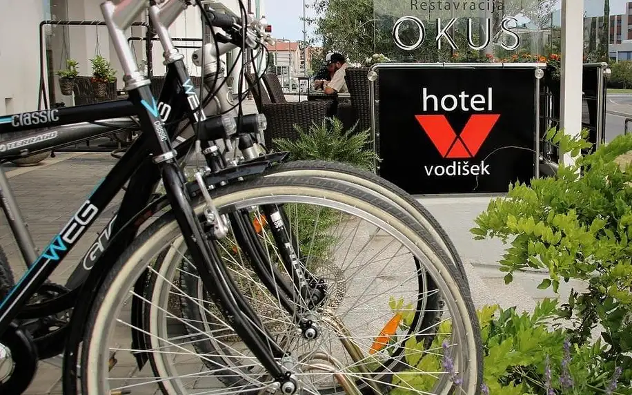Slovinsko: Hotel Vodisek