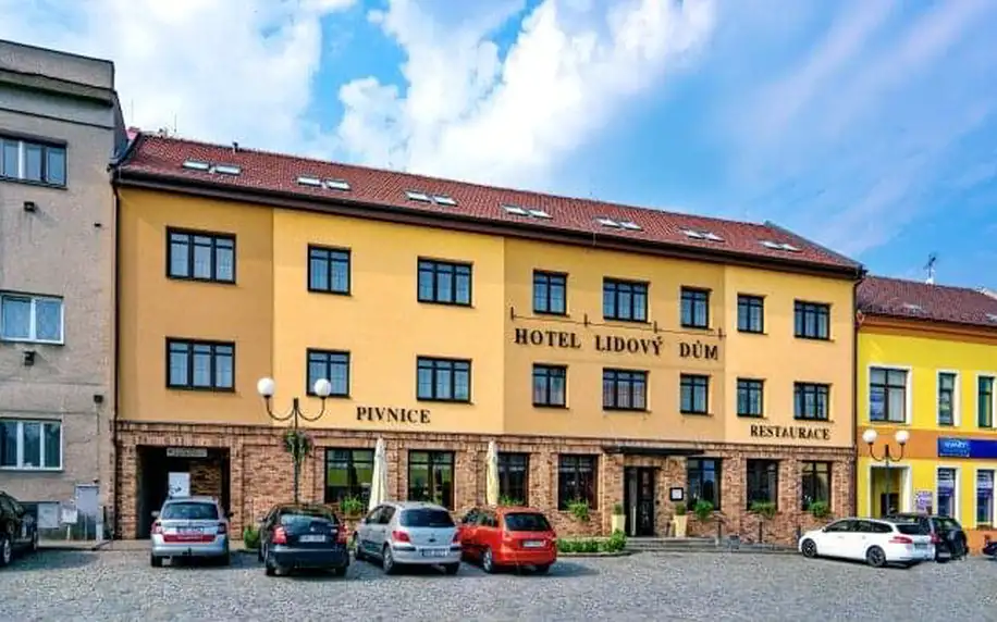Slovácko: Pobyt v Bzenci nedaleko zámku v Hotelu Lidový dům *** s láhví vína i ochutnávkou vín + polopenze