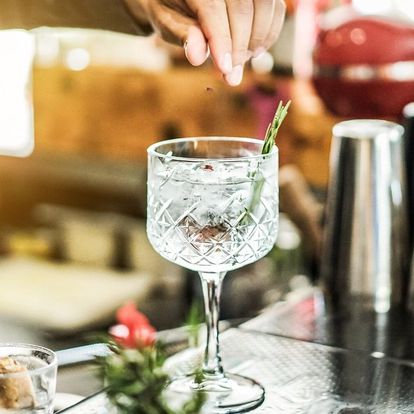 Gin&Tonic: řízená degustace s odborným výkladem