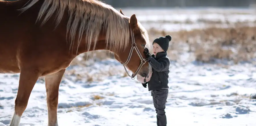 Dívka a kůň v zimě