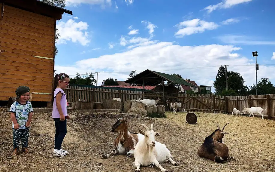 Rodinný pobyt v táborské zoo i péče o zvířata