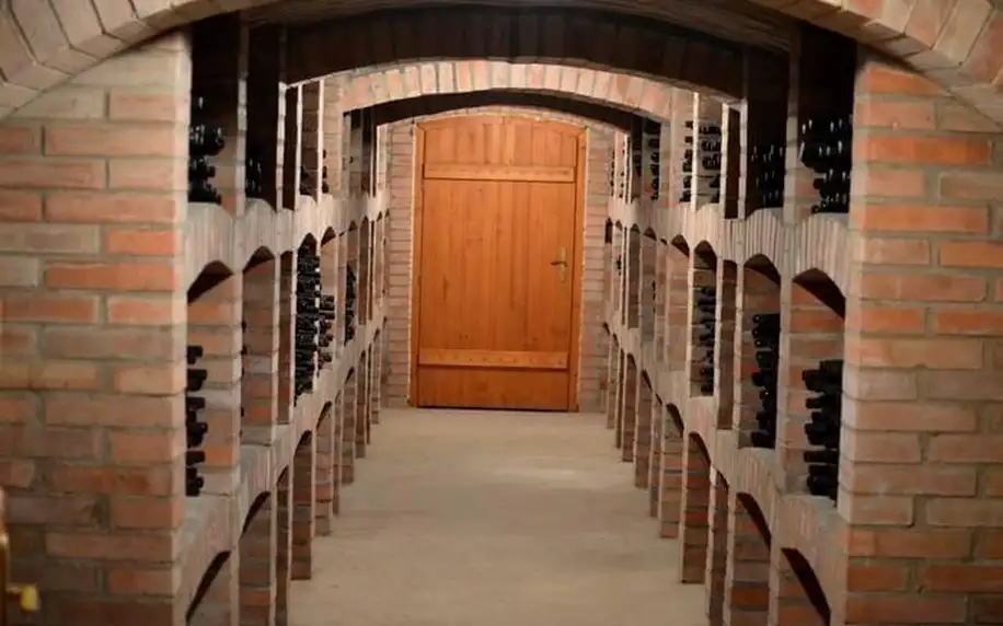 Vinné sklepy u Lednice: polopenze i koštování vína