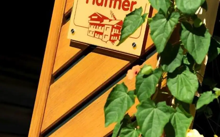 Rakousko, Zell am See: Gästehaus Haffner