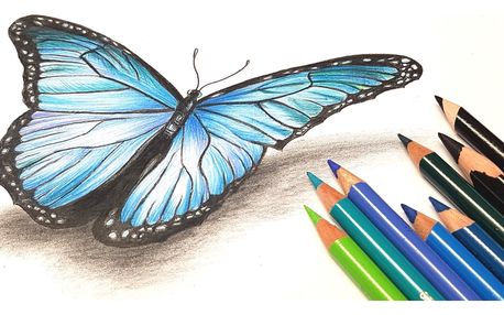 Online kurz Motýl pastelkou moderně a od začátku