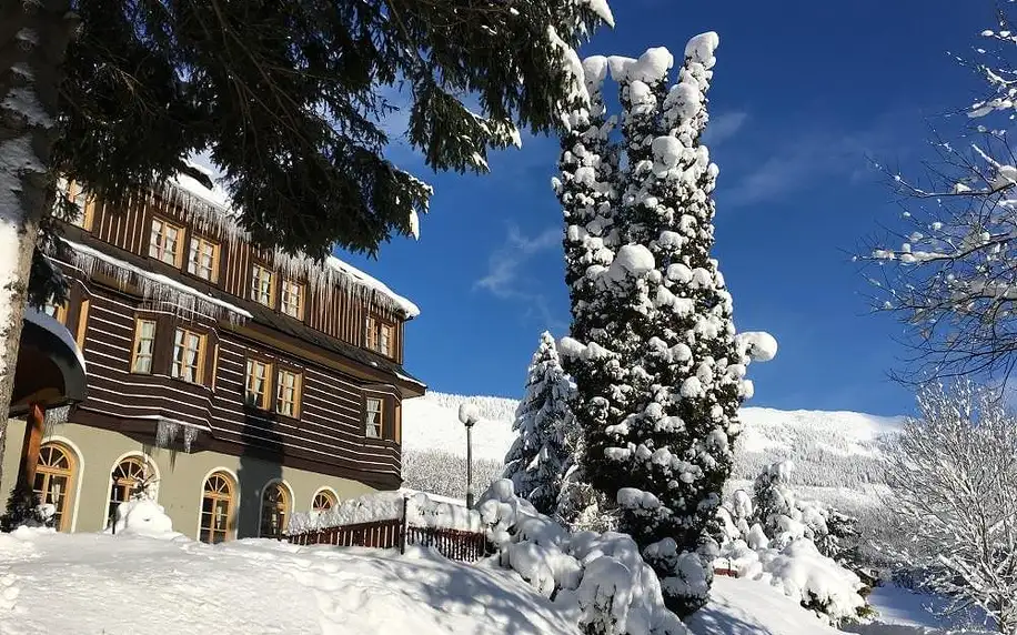 Alpský hotel v těsné blízkosti populárního ski areálu Svatý Petr