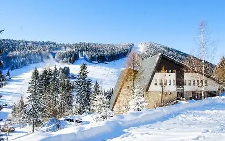 Krkonoše u ski areálů: Pytloun Hotel Harrachov **** s wellness, masáží a polopenzí + děti do 17 let zdarma