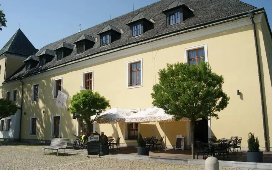 Olomoucký kraj: Hotel Zámek Velká Bystřice