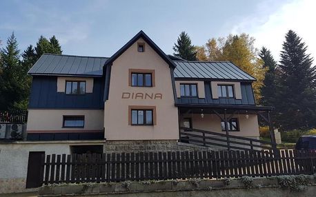 Bedřichov, Liberecký kraj: Penzion Diana