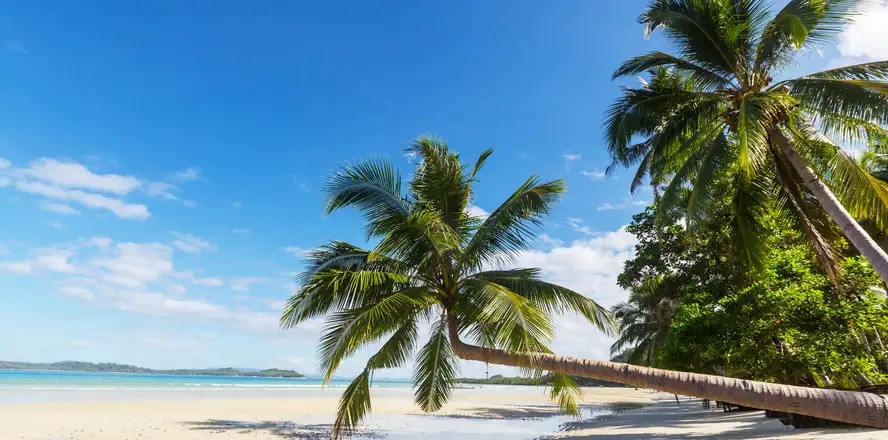 Exotický Zanzibar: pláž a palmy
