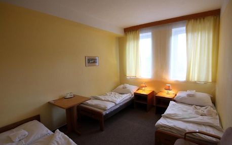 Vysočina: Hotel Medlov