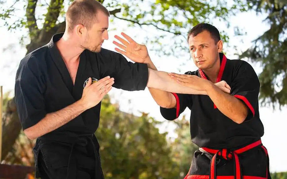 Kurz bojového umění Kung fu s Mistrem