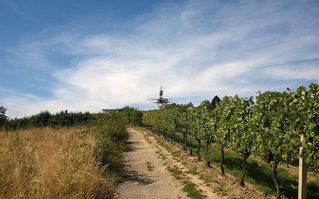 Kde se rodí víno - slavnosti ve Znojmě a Retzu, Jižní Morava