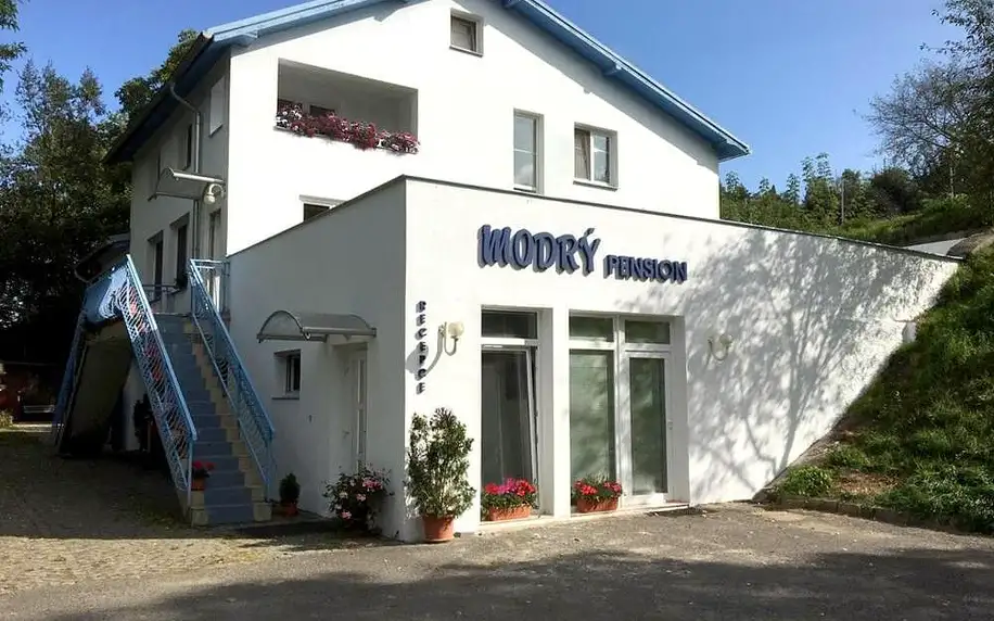 Mladá Boleslav, Středočeský kraj: Modrý Pension