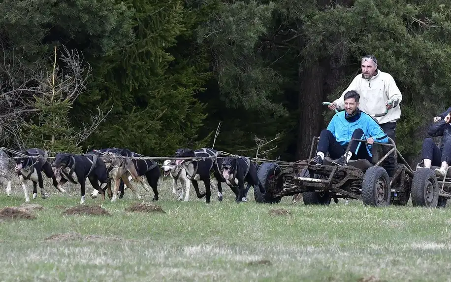 Jízdy se psím spřežením: přes den i v noci