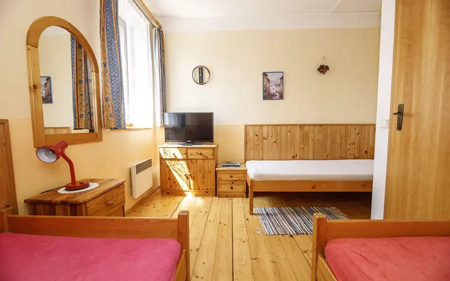 Pohodové apartmány v Krkonoších pro až 8 osob