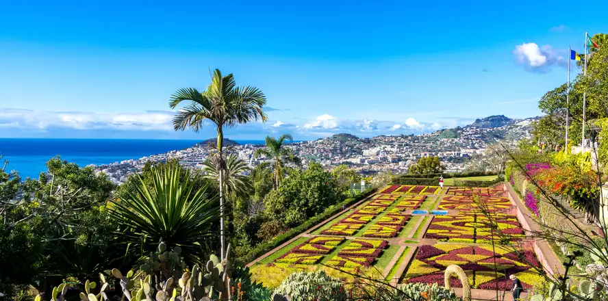 Botanická zahrada: co vidět na Madeiře